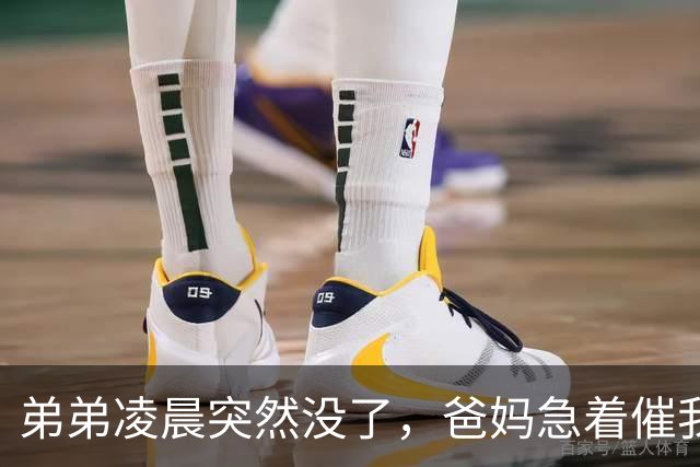 弟弟凌晨突然没了，爸妈急着催我坐车回去，我刚掏出车票，手机跳出一条匿名短信：别急，晚点看大戏