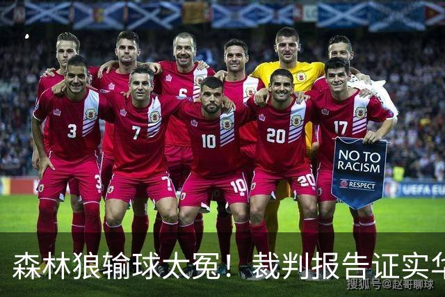 森林狼输球太冤！裁判报告证实华子关键球被犯规：两次错漏判都是骑士获利