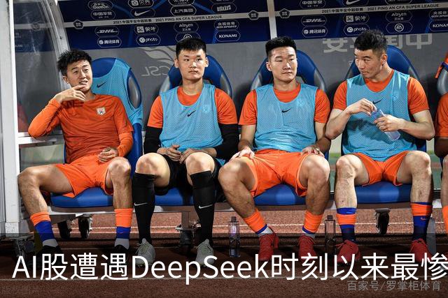 AI股遭遇DeepSeek时刻以来最惨一跌！高盛动量组合抹去全年涨幅，半导体指数逼近年线